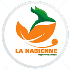 Namibienne logo